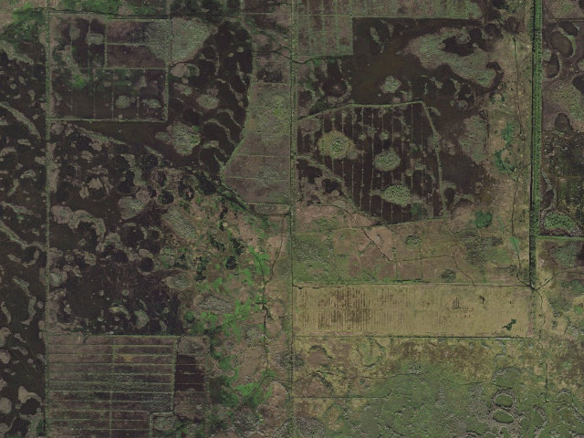 Aerial image of Banjo Camp (Blue Cypress Conservation Area)