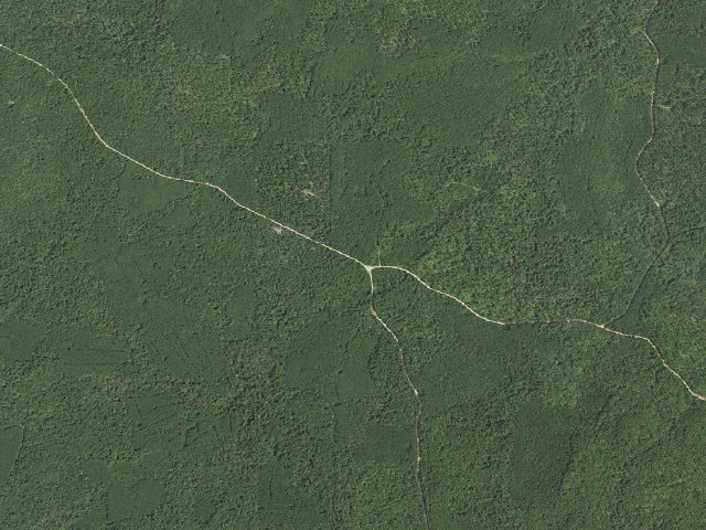 Aerial image of Bankston Camp