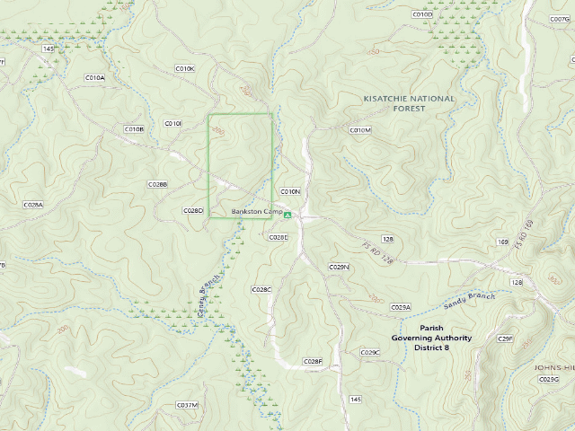 USGS topographic map of Bankston Camp