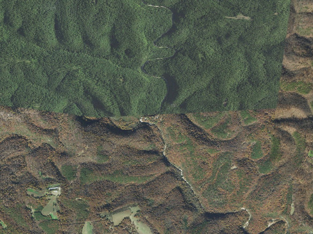 Aerial image of Barkshed Cg