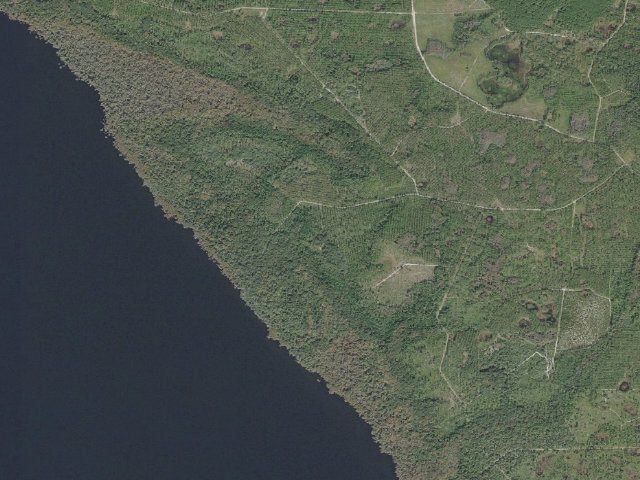 Aerial image of Barrs Hammock group campsite (Lake George Conservation Area)