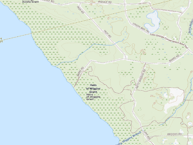 USGS topographic map of Barrs Hammock group campsite (Lake George Conservation Area)