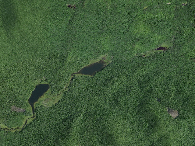 Aerial image of Bartman Trail Campsite (Wilcox Lake Wild Forest)