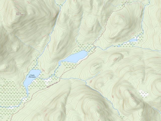 USGS topographic map of Bartman Trail Campsite (Wilcox Lake Wild Forest)