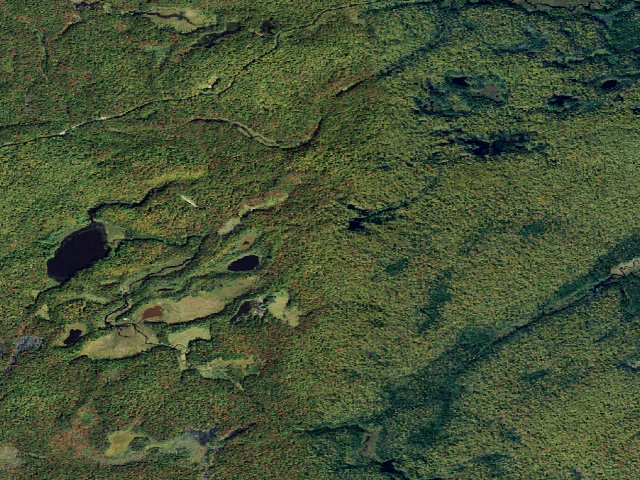 Aerial image of Basket Factory Rd Accessible Campsite (Independence River Wild Forest)