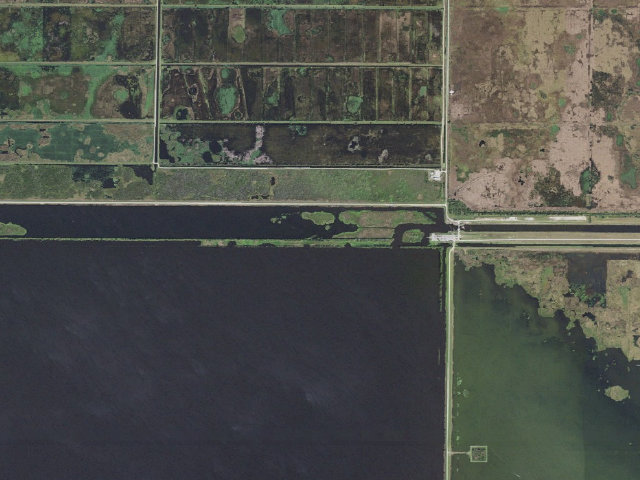 Aerial image of Bass Camp - Boat Access Only (Blue Cypress Conservation Area)