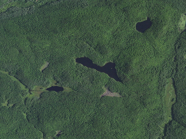 Aerial image of Bass Lake Primitive Tentsite [DEC #18350] (Hammond Pond Wild Forest)
