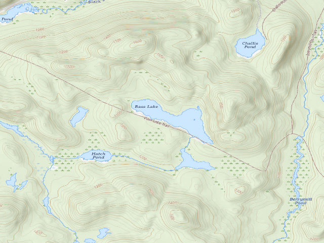 USGS topographic map of Bass Lake Primitive Tentsite [DEC #18350] (Hammond Pond Wild Forest)