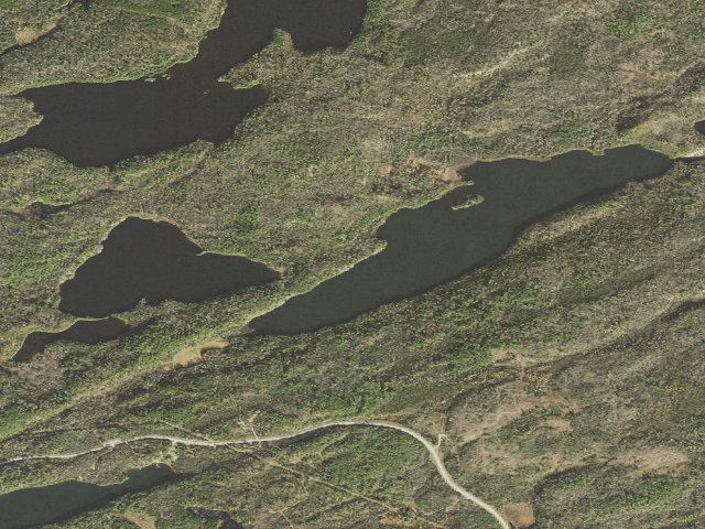 Aerial image of Bass Lake Site 1