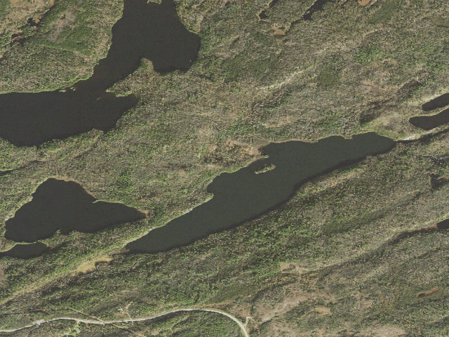 Aerial image of Bass Lake Site 2