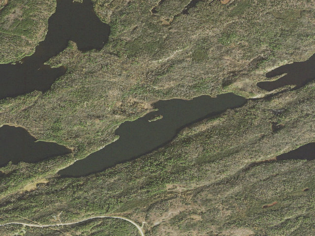 Aerial image of Bass Lake Site 3