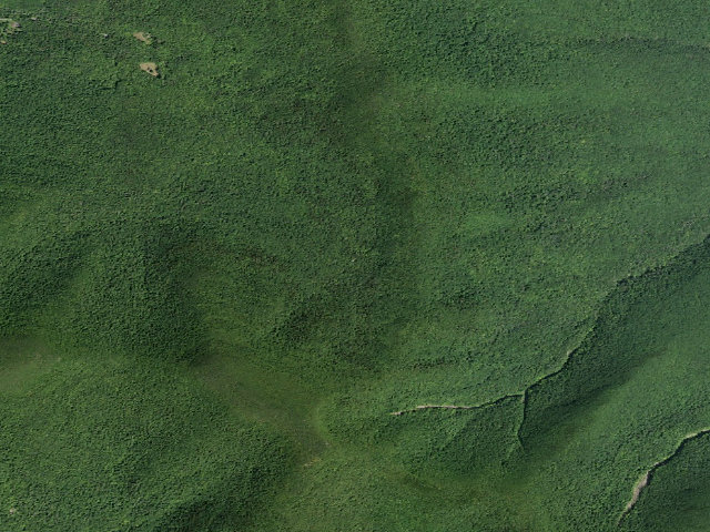 Aerial image of Batavia Kill Primitive Tent Site [DEC #16275] (Windham Blackhead Range Wilderness)