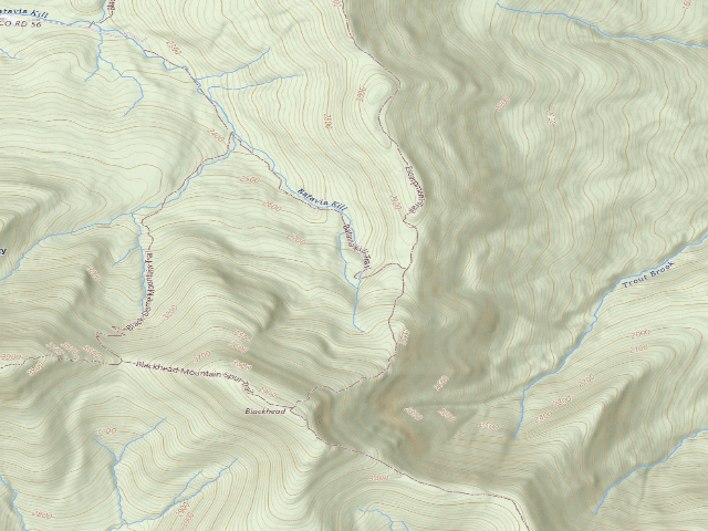 USGS topographic map of Batavia Kill Primitive Tent Site [DEC #16275] (Windham Blackhead Range Wilderness)