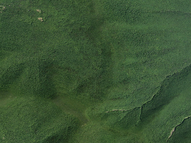 Aerial image of Batavia Kill Primitive Tent Site [DEC #16276] (Windham Blackhead Range Wilderness)