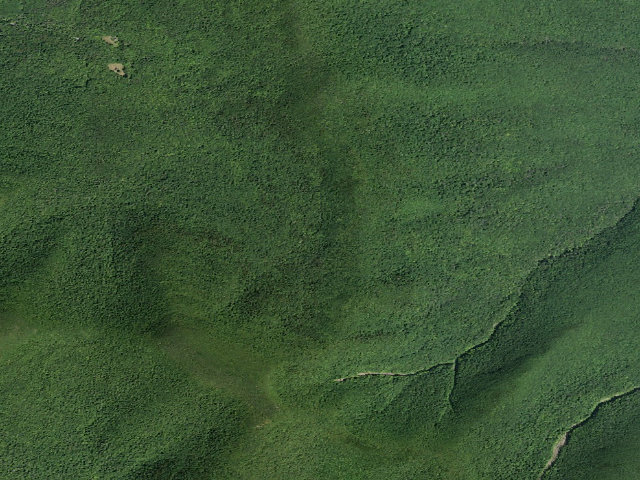 Aerial image of Batavia Kill Primitive Tent Site [DEC #16277] (Windham Blackhead Range Wilderness)