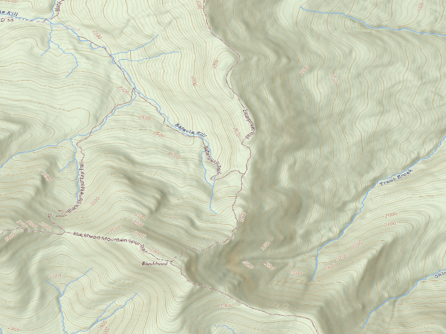 USGS topographic map of Batavia Kill Primitive Tent Site [DEC #16277] (Windham Blackhead Range Wilderness)