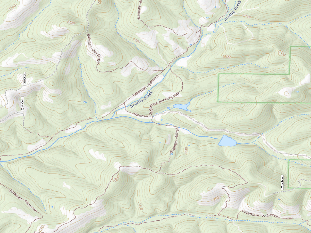 USGS topographic map of Bateman