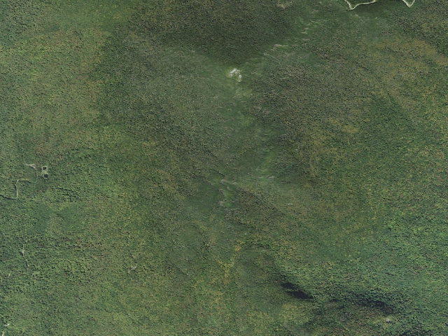 Aerial image of Battell Shelter