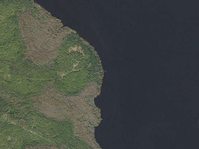Aerial image of Bayard Conservation Area primitive campsite