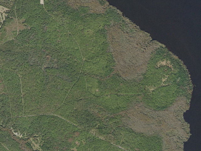 Aerial image of Bayard Conservation Area primitive campsite