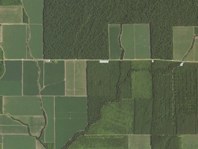 Aerial image of Bayou Macon WMA primitive camping area 1