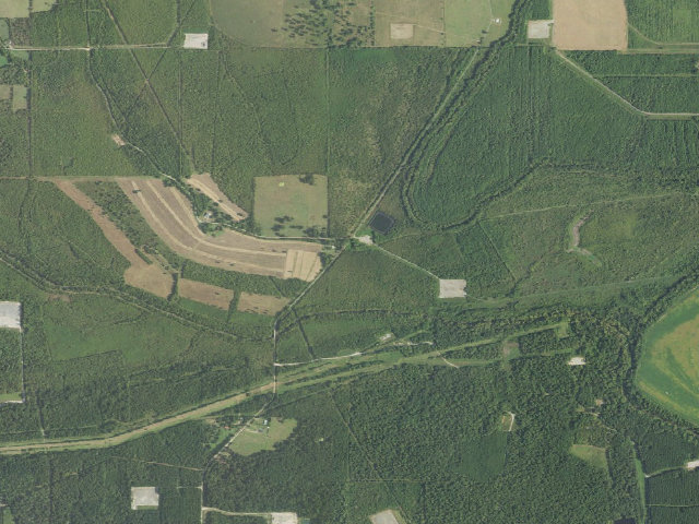Aerial image of Bayou Pierre WMA primitive camping area 1