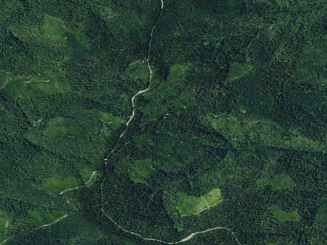 Aerial image of Beans Camp