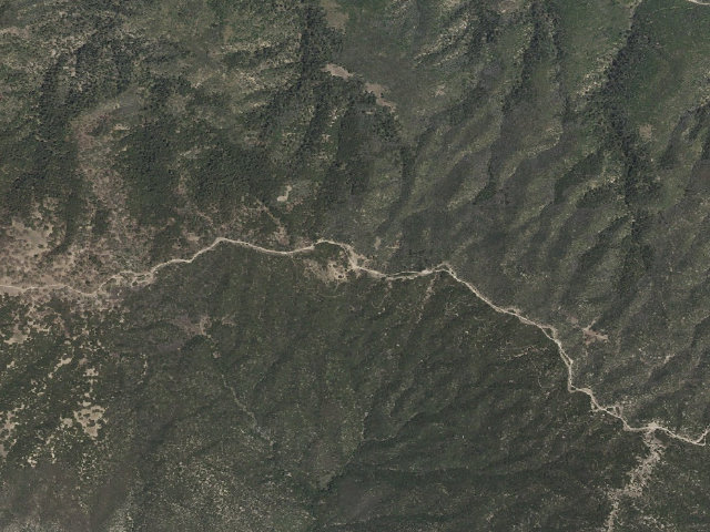 Aerial image of Bear
