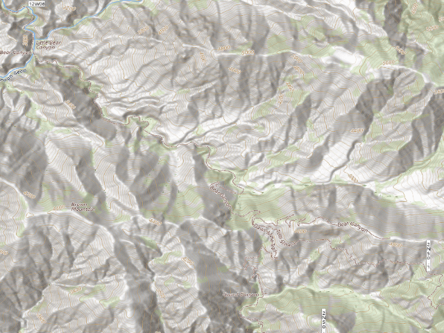 USGS topographic map of Bear Canyon