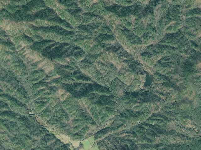 Aerial image of Bear Creek Dispersed Camping Area