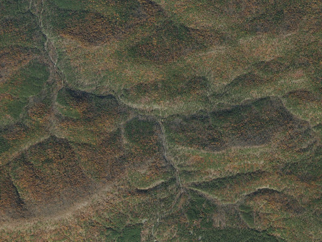 Aerial image of Bear Creek Equestrian Camp