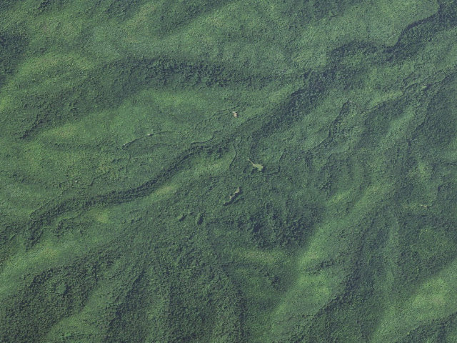 Aerial image of Bear Creek Hunt Camp