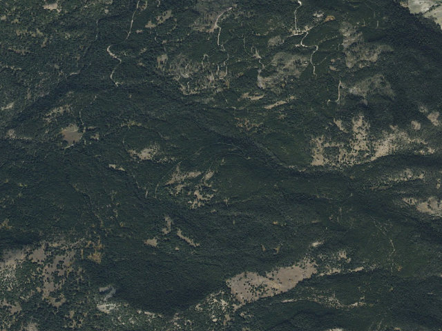 Aerial image of Bear Fork Road-001