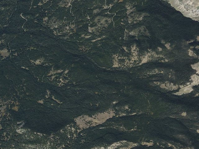 Aerial image of Bear Fork Road-003