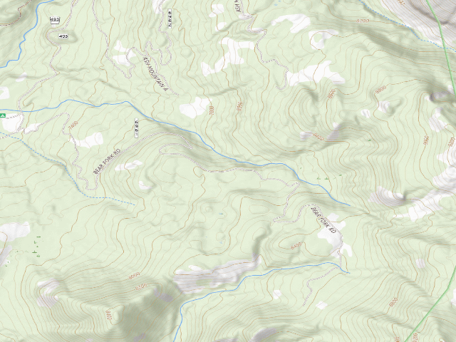 USGS topographic map of Bear Fork Road-003