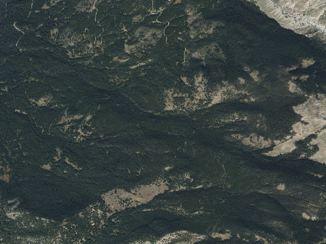 Aerial image of Bear Fork Road-004