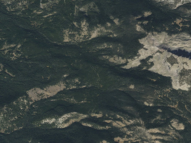 Aerial image of Bear Fork Road-007