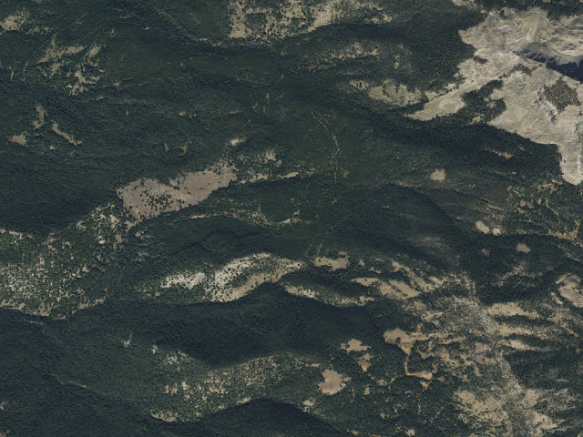 Aerial image of Bear Fork Road-011