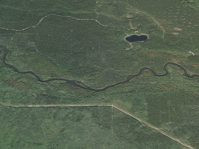 Aerial image of Bear Island Backcountry Campsites