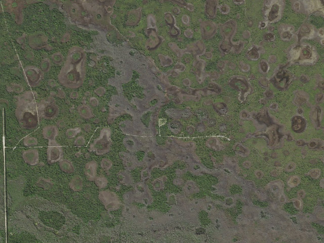 Aerial image of Bear Island Campground (Big Cypress National Preserve)