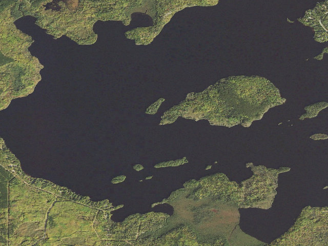 Aerial image of Bear Island Lake Site 1