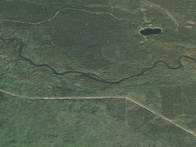 Aerial image of Bear Island Primitive Campsite