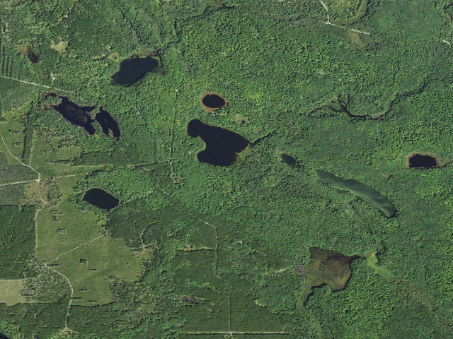 Aerial image of Bear Lake Camping Area