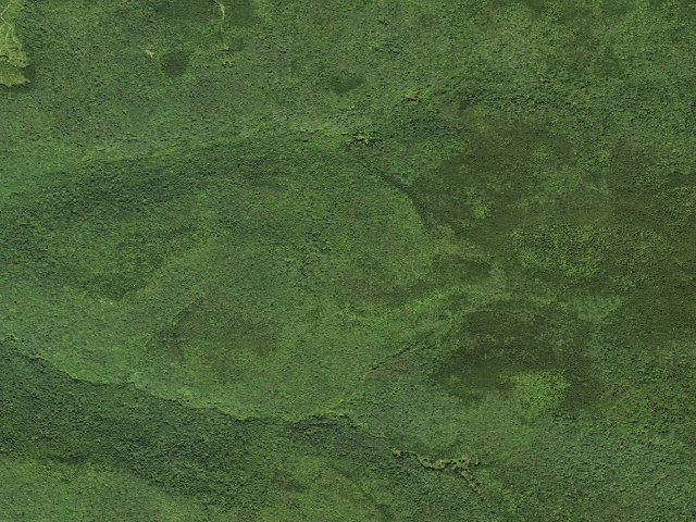 Aerial image of Bear Pen Shelter