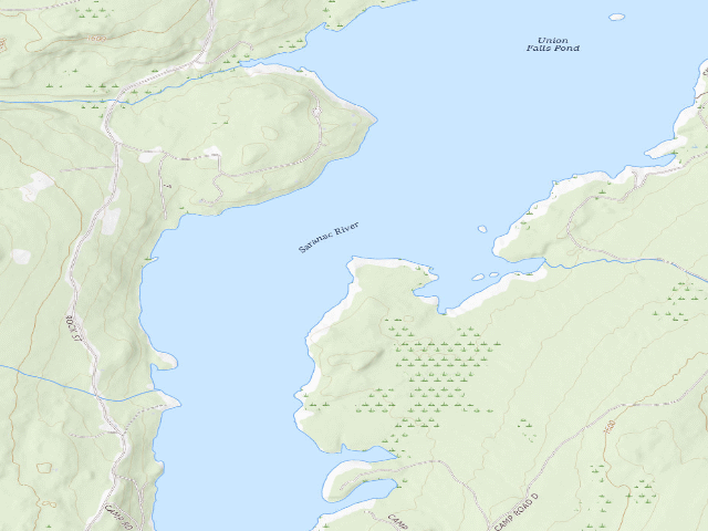 USGS topographic map of Bear Point Campsite (Taylor Pond Wild Forest)