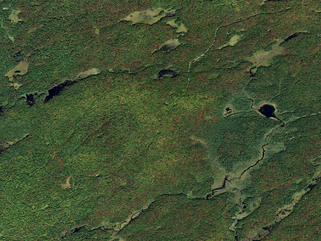 Aerial image of Bear Pond Road Campsite (Watsons East Triangle Wild Forest)