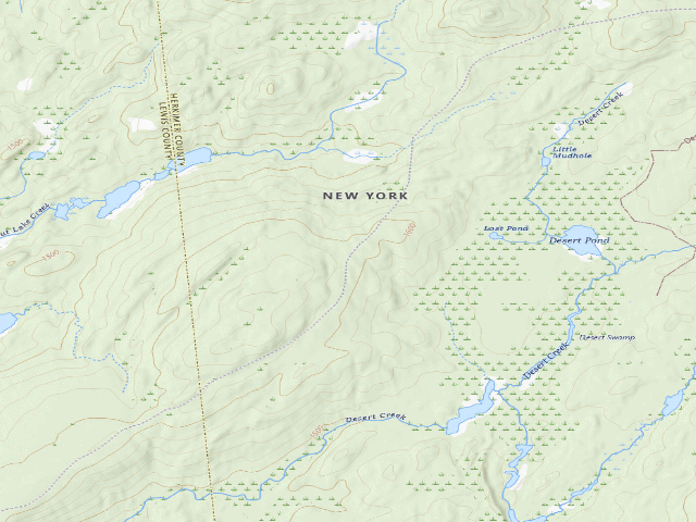 USGS topographic map of Bear Pond Road Campsite (Watsons East Triangle Wild Forest)