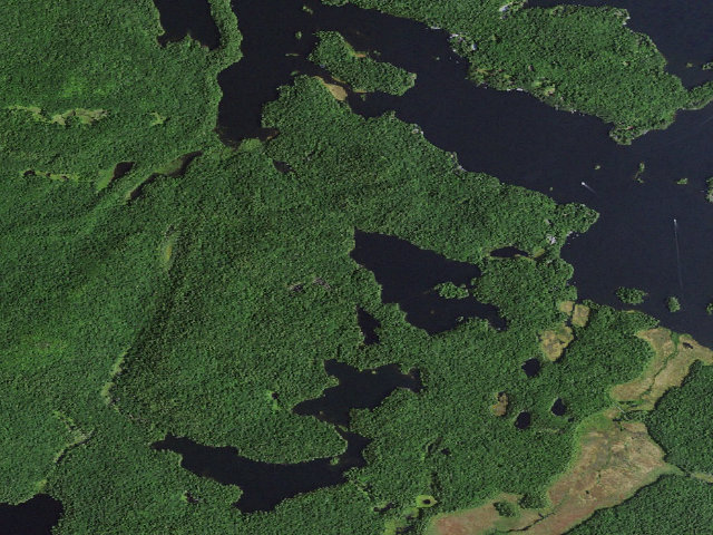 Aerial image of Bear Pond Site 1 (Saint Regis Canoe Area)
