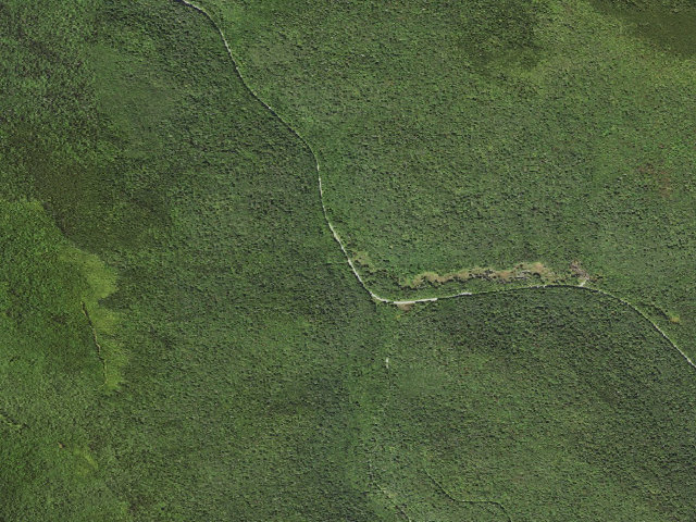 Aerial image of Bear Run Campsites