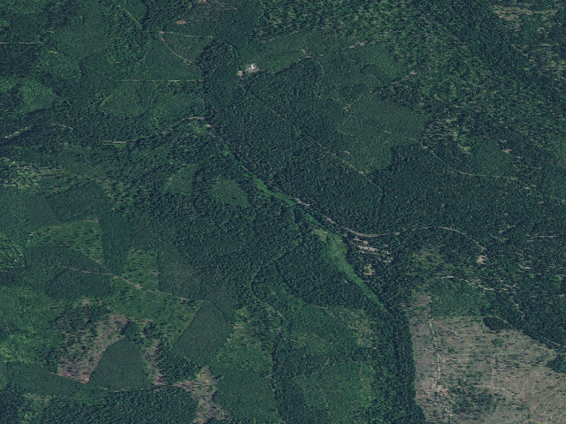 Aerial image of Bear Springs
